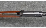 Winchester ~ 1906 ~ .22 S/L/LR - 8 of 11