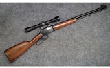 Winchester ~ 9422M ~ .22 Magnum