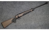 Blaser ~ R8 Savanna ~ .375 H&H / .300 WM - 1 of 11