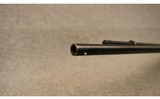 Remington ~ 572 Routledge ~ .22 Long Rifle - 13 of 14