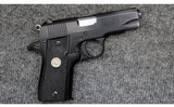 Colt ~ Gov't Lite ~ .380 ACP - 1 of 4