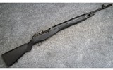 Springfield ~ M1A ~ .308 Win - 1 of 11