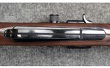 Remington ~ Nylon 66 ~ .22 LR - 9 of 11
