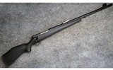 Weatherby ~ Mark ? ~ .460 Wby Mag - 1 of 11