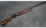 Remington ~ 1100 ~ 12 Ga