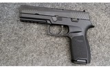 SIG Sauer ~ P320 Texas Ranger ~ 9x19 - 2 of 4
