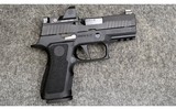 SIG Sauer ~ P320 ~ 9x19