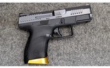 CZ ~ P-10 S ~ 9x19 - 1 of 4