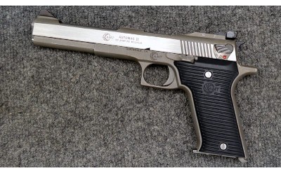 AMT ~ AutoMag ? ~ .22 Mag