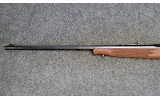 Winchester ~ 1885 ~ .22 WMR - 4 of 10
