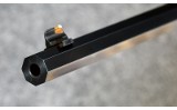Winchester ~ 1885 ~ .22 WMR - 10 of 10