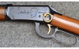 Winchester ~ 94 Illinois Sesq. ~ .30-30 WCF - 6 of 11