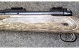 Savage ~ 11 ~ .22-250 Rem - 6 of 11