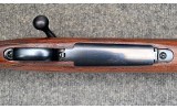 Winchester ~ 70 ~ .375 H&H - 9 of 11
