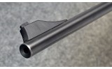 Blaser ~ R93 ~ .243 Win / .222 Rem / .416 Rem Mag - 11 of 14