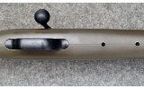 Blaser ~ R93 ~ .243 Win / .222 Rem / .416 Rem Mag - 9 of 14