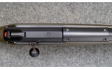 Blaser ~ R93 ~ .243 Win / .222 Rem / .416 Rem Mag - 8 of 14