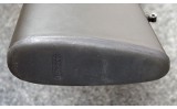 Blaser ~ R93 ~ .243 Win / .222 Rem / .416 Rem Mag - 10 of 14