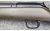 Blaser ~ R93 ~ .243 Win / .222 Rem / .416 Rem Mag - 6 of 14