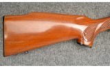 Remington ~ 700 ~ .17 Rem - 2 of 11