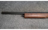 Ithaca ~ Mag-10 ~ 10 Gauge - 5 of 11