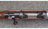 Cooper ~ 57M ~ .17 HMR - 8 of 11