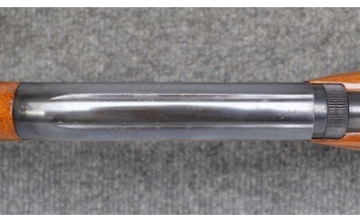 Browning ~ SA-22 ~ .22 LR - Image 8 of 11