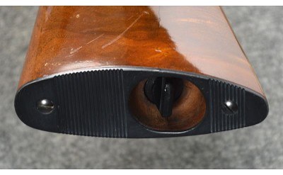 Browning ~ SA-22 ~ .22 LR - Image 10 of 11
