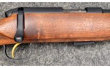Steyr ~ Zephyr ? ~ .22 LR - 3 of 11