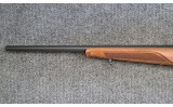 Steyr ~ Zephyr ? ~ .22 LR - 5 of 11
