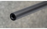 Steyr ~ Zephyr ? ~ .22 LR - 11 of 11