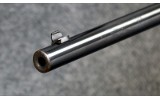 Browning ~ SA-22 ~ .22 LR - 11 of 11
