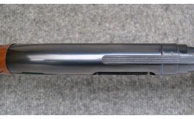 Browning ~ 12 ~ 20 Ga - Image 8 of 11