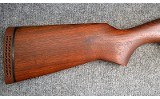 Ithaca ~ Mag-10 ~ 10 Ga - 2 of 11