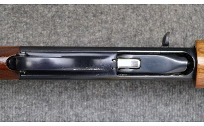 Remington ~ 1100 ~ 12 Ga - Image 9 of 11