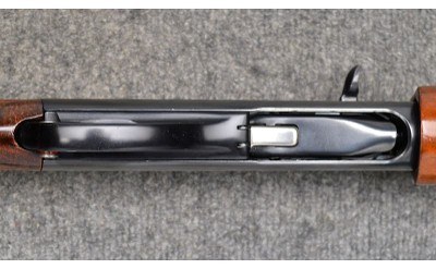 Remington ~ 1100 ~ 20 Ga - Image 9 of 11