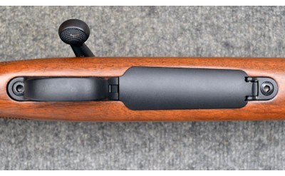Remington ~ 700 ~ .243 Win - Image 9 of 11
