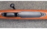 Winchester ~ 70 SA ~ .22-250 Rem - Image 9 of 10