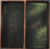 Colt, Cobra Agent, Cal. .38 Special - 4 of 9