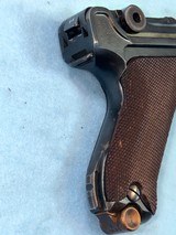Holster Queen