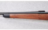 Winchester Model 70 Cabela's Limited 7 X 57 - 6 of 7