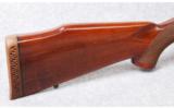 Sako L61R Finbear .300 Winchester Magnum - 3 of 7