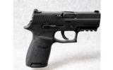 Sig-Sauer P250 .380 Auto With a .40 S&W Conversion Kit - 1 of 2
