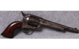 Colt - 1 of 2