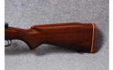 Winchester 70 pre 64 - 7 of 7