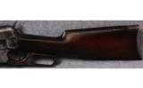 Winchester 1895 - 7 of 8