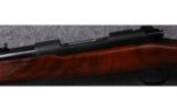 Winchester 70 - 4 of 7