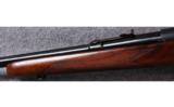Winchester 70 - 6 of 7