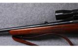 Winchester 70 Featherweight - 8 of 8