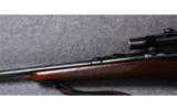 Winchester Pre 64 Model 70 in .270 WCF - 7 of 7